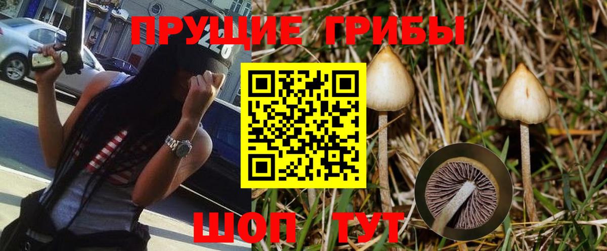 Озёрск  Псилоцибиновые грибы Psilocybe  купить  цена  Вход с VPN 